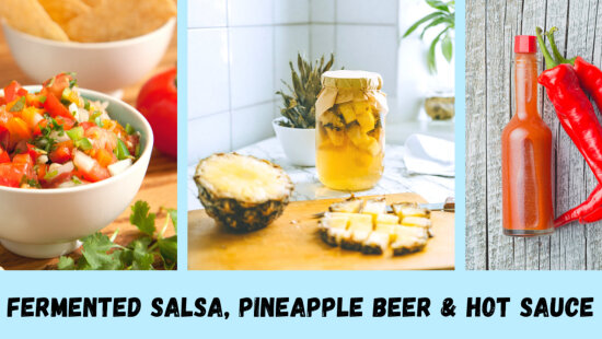 How to Make Fermented Salsa, Hot Sauce & Pineapple Beer πΆπ²π½π